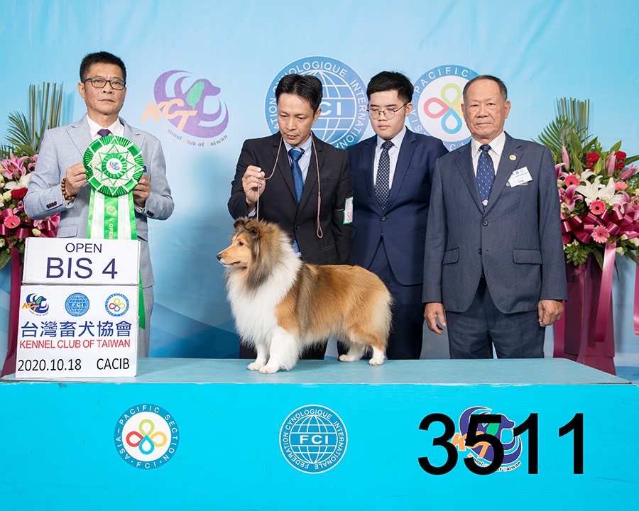19d36cd085971b16efd8cf3ae843ebce.jpg