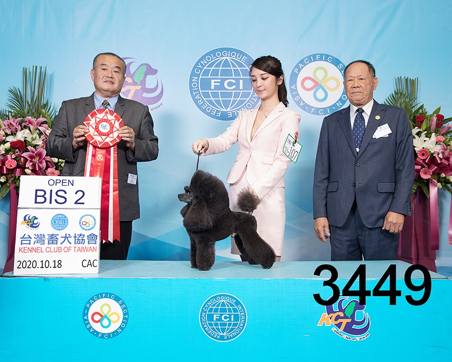6d57f42ab68cdaa00fce3a77402f35fd.jpg