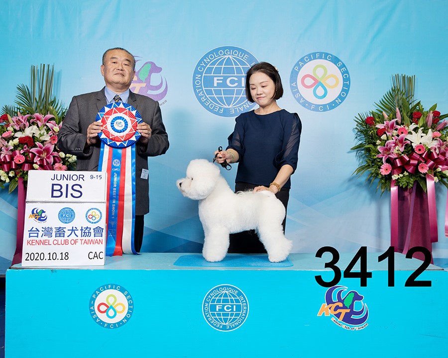 d40e0a1120c868ef22e9dece3d702697.jpg